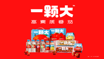 一顆大櫻桃番茄的東南亞之旅 中國蔬菜“出?！卑鎴D再拓展