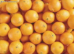 蔬果特寫0169 鏡頭下的自然饋贈，與色彩的味覺遐想