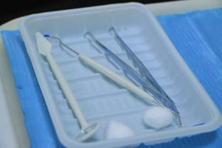 無(wú)套路洗牙新體驗(yàn) 9.9元守護(hù)口腔健康，專業(yè)護(hù)理觸手可及
